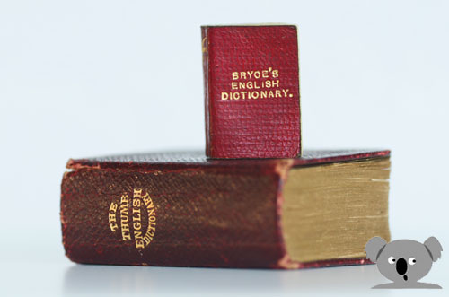 The World's Smallest Dictionary atop Bryce's Thumb Dictionary